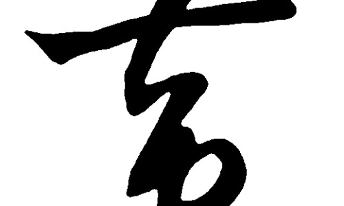 【向日葵干盘有什么作用】向日葵干盘有什么作用 - 向日葵茎髓有什么作用网