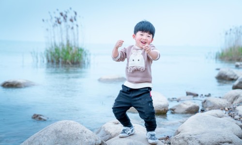 向日葵茎髓有什么作用呢-【向日葵干盘有什么作用】向日葵干盘有什么作用 - 向日葵茎髓有什么作用网